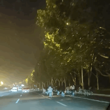 对全国大学生免费开放央妈也来亲自宣传尊龙凯时APP泼天富贵临到开封！景点(图4)