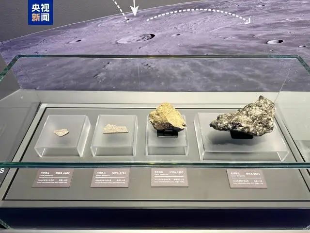 车次！下月5日起珠海站部分列车运行有调整→z6尊龙网站新闻早茶｜一次扫码可乘坐任意一(图7)