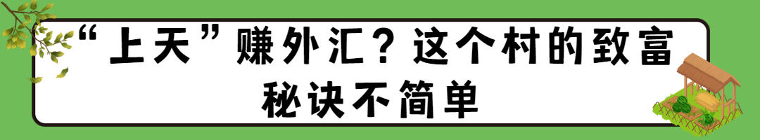 事｜“上天”赚外汇？沂源这个村致富秘诀不简单z6尊龙网站登录入口寻觅乡愁·讲讲俺