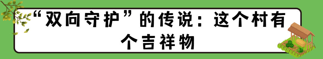 事｜“上天”赚外汇？沂源这个村致富秘诀不简单z6尊龙网站登录入口寻觅乡愁·讲讲俺村的故(图2)