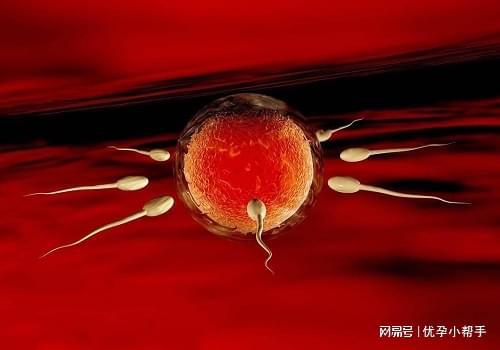 孕期需要注意什么呢？-优孕行尊龙凯时网站高龄女性备孕及